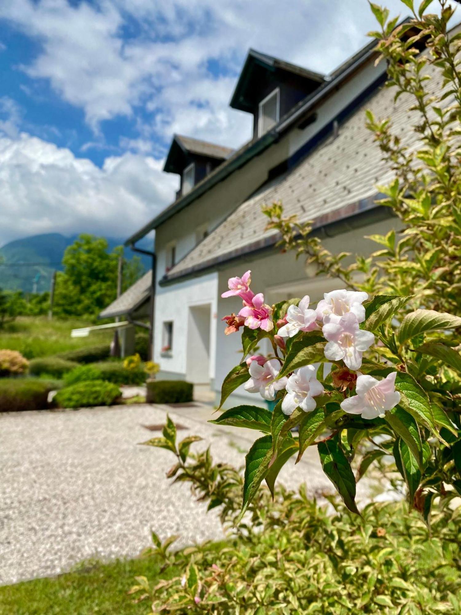 Apartments Alpha Center Bovec Dış mekan fotoğraf